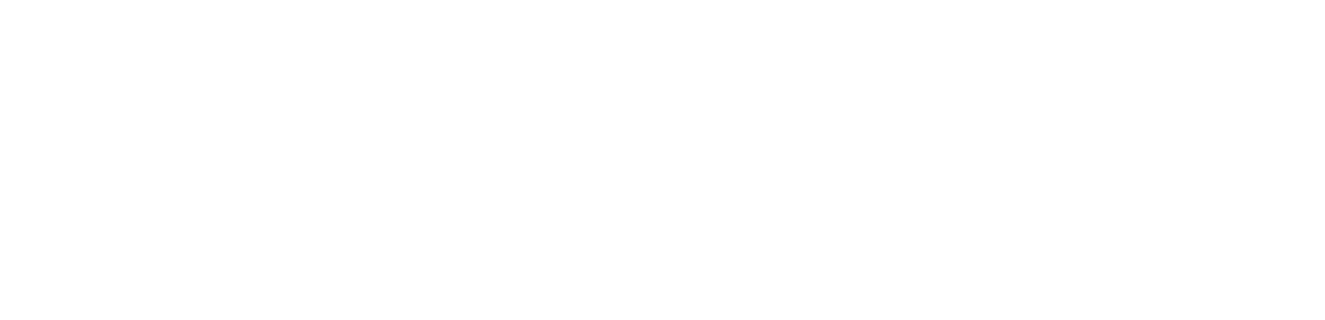 Eximius Executive